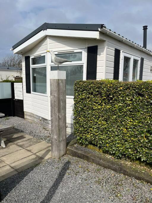 Chalet + Tiny House Nabij Strand Petten Dış mekan fotoğraf