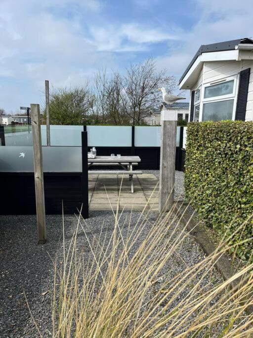 Chalet + Tiny House Nabij Strand Petten Dış mekan fotoğraf